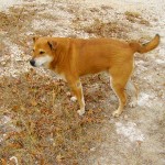 updateblog8